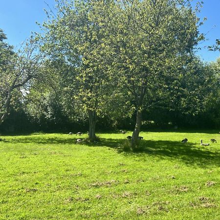 Adorable Two Bed Norfolk Broads Holiday Home - River Views With Moorings & Fishing Stalham Buitenkant foto
