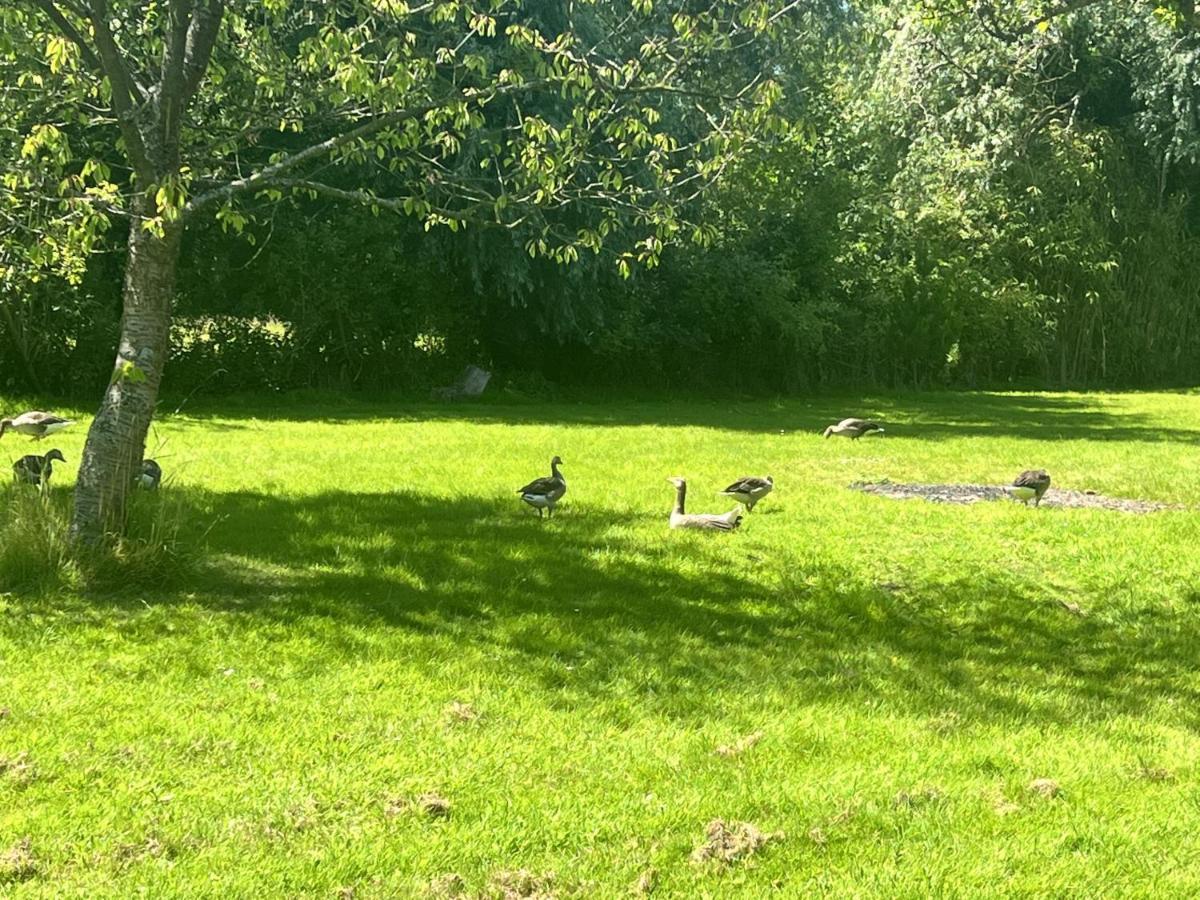 Adorable Two Bed Norfolk Broads Holiday Home - River Views With Moorings & Fishing Stalham Buitenkant foto